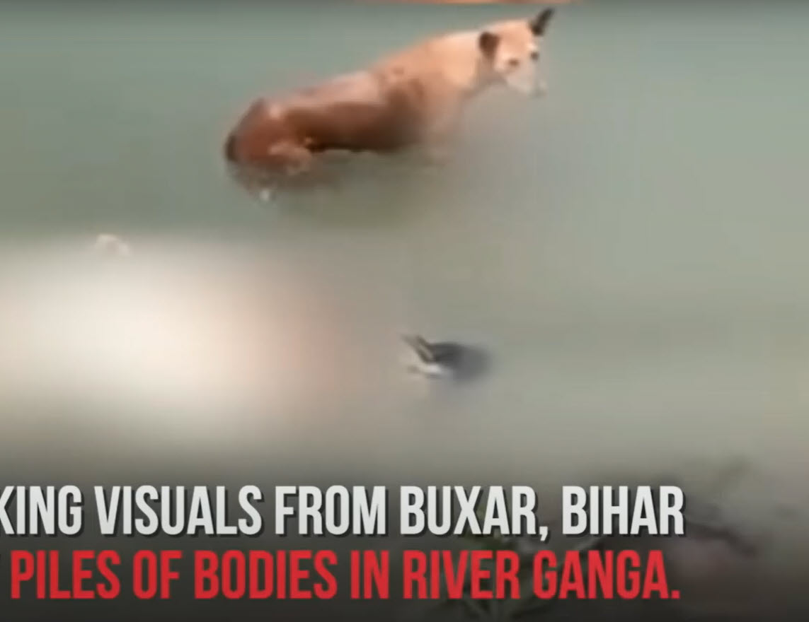 Κορωνοϊός: Φρίκη στην Ινδία - Δεκάδες πτώματα ξεβράστηκαν στις όχθες του Γάγγη(βίντεο σοκ)