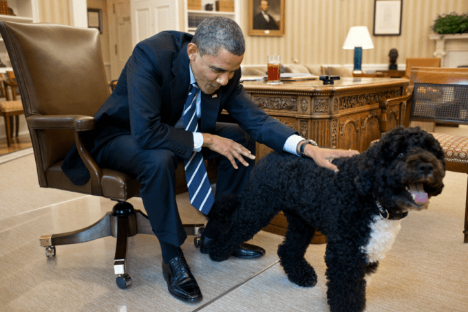 Πένθος για τον Μπαράκ Ομπάμα – Έχασε τον αγαπημένο του σκύλο