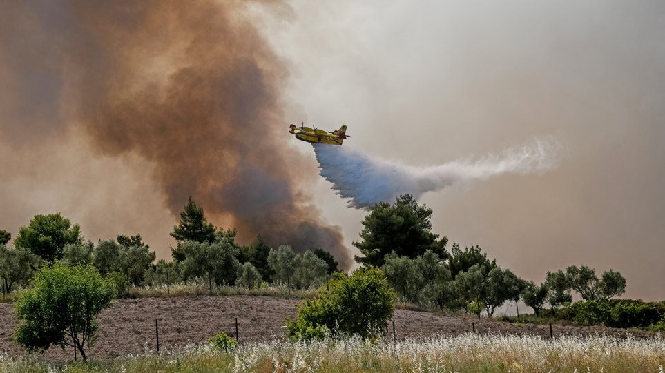 Πυρκαγιά στα Γεράνεια Όρη : Μάχη με τις διάσπαρτες εστίες δίνουν οι πυροσβέστες