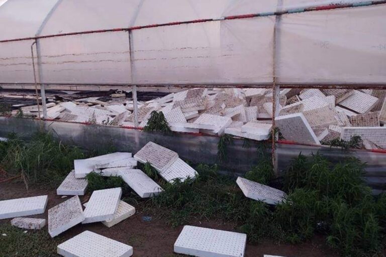 Καρδίτσα κακοκαιρία: Μεγάλες ζημιές από το μπουρίνι στους Δήμους Παλαμά και Σοφάδων [vids & pics]