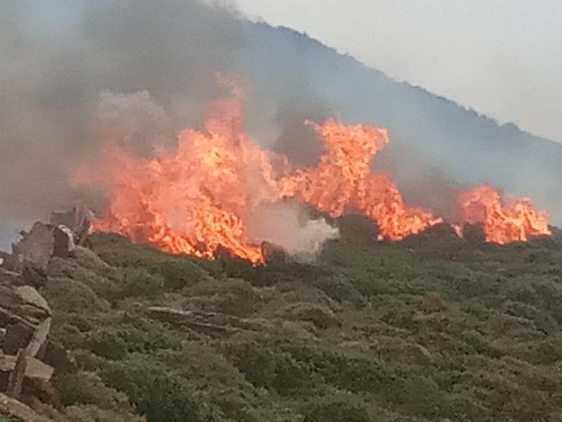 Σε εξέλιξη η πυρκαγιά στην Ανάβυσσο - Εκκενώνεται προληπτικά ο οικισμός Καταφύγι