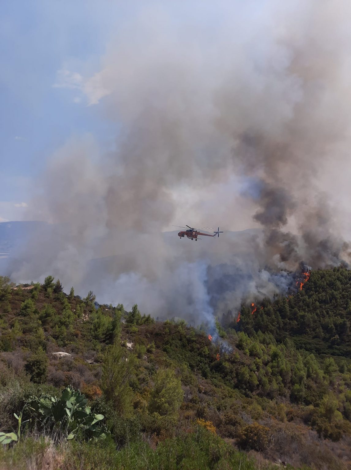 Σε εξέλιξη οι πυρκαγιές σε Αλμυρή Κορινθίας και δήμο Επιδαύρου -Επιχειρούν ισχυρές πυροσβεστικές δυνάμεις