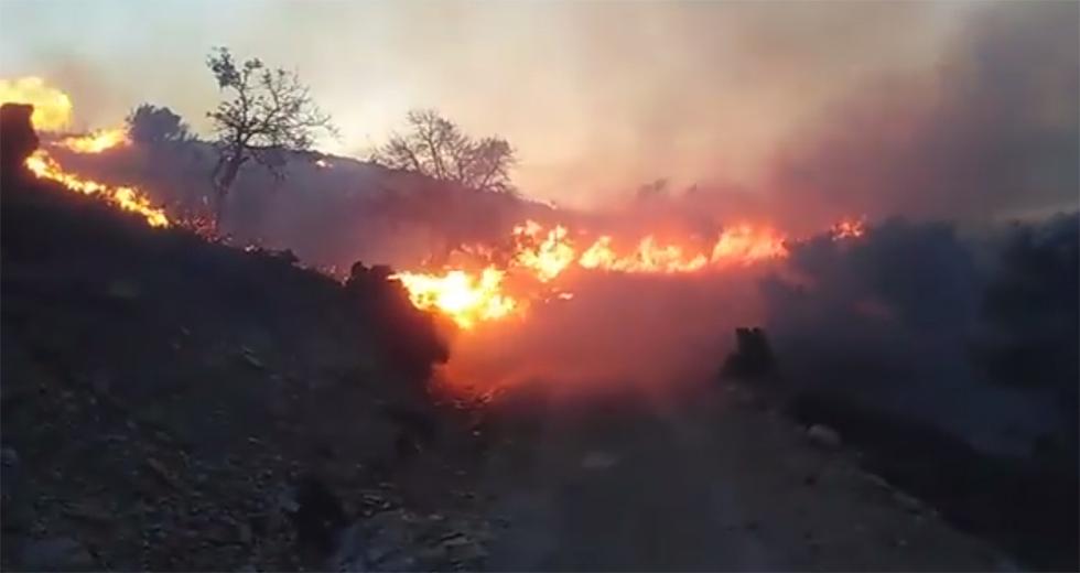 Πυρκαγιά στο Λασίθι - Μεγάλη κινητοποίηση της Πυροσβεστικής