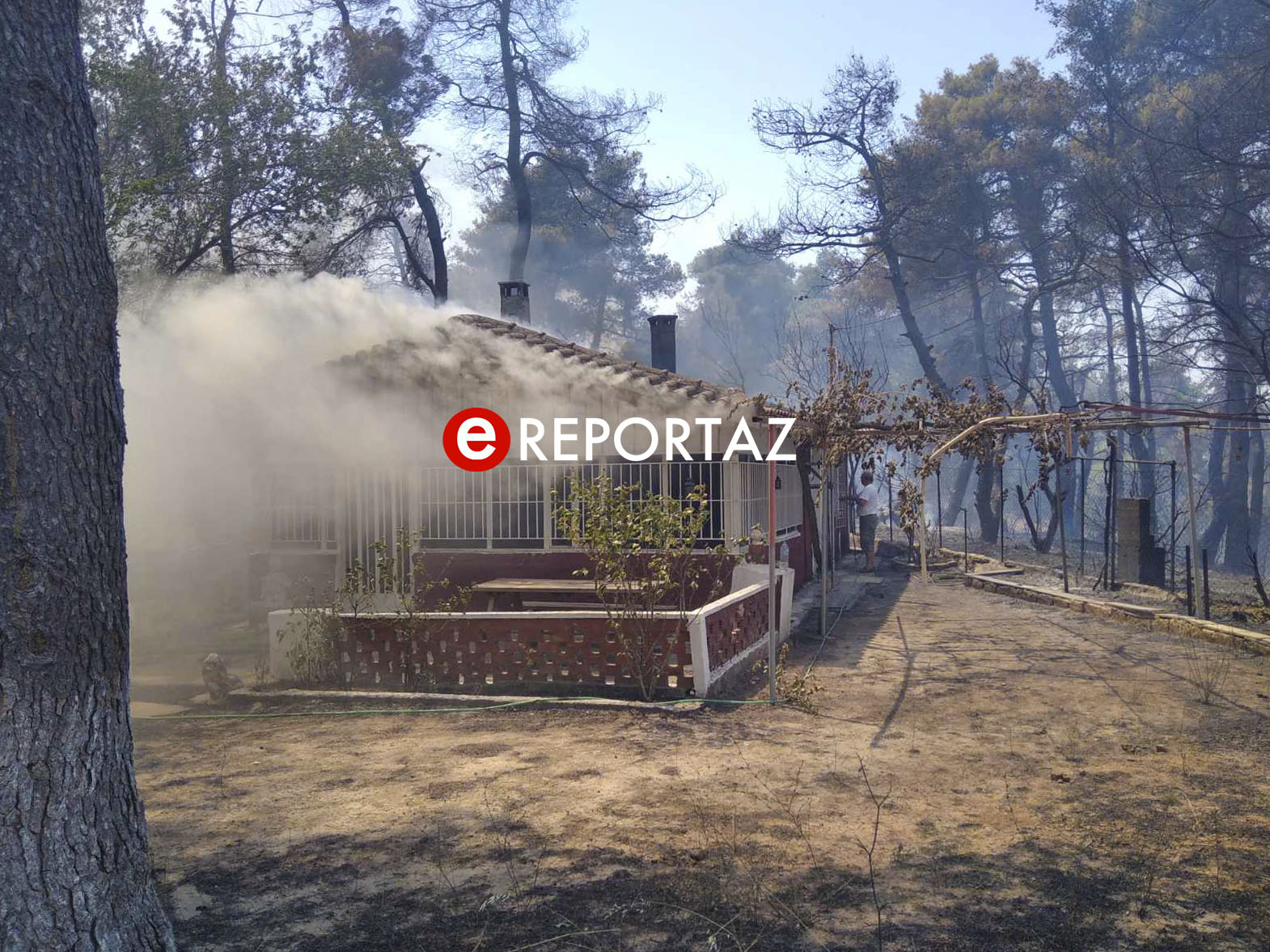 Φωτιά τώρα στον Διόνυσο: Καίγονται σπίτια σε Σταμάτα και Ροδόπολη - Πύρινο μέτωπο εκτός ελέγχου (Βίντεο - Φώτο)
