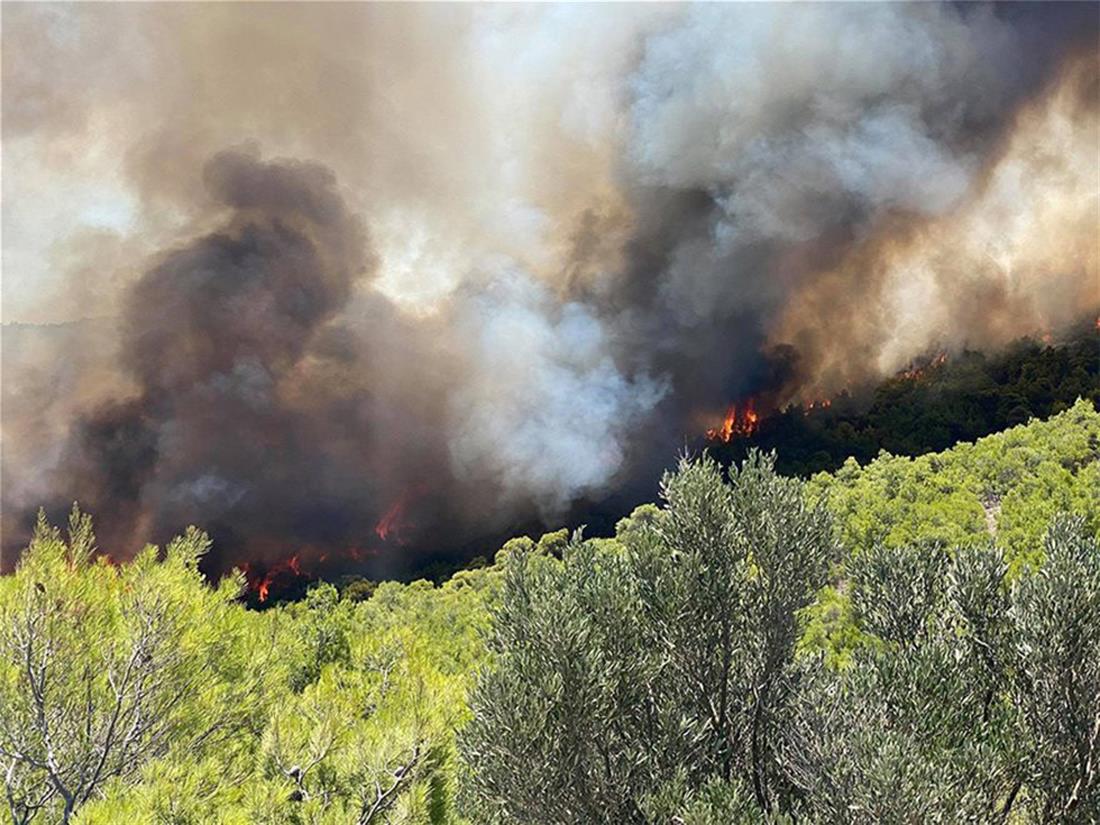 Πυρκαγιά στο Μαρκάτι στο Λαύριο  – Επιχειρούν επίγειες και εναέριες δυνάμεις
