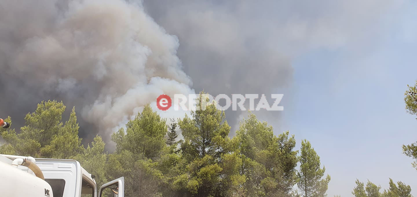 Φωτιά Αθήνα: Εκκενώθηκε Γηροκομείο στον Άγιο Στέφανο (Βίντεο)