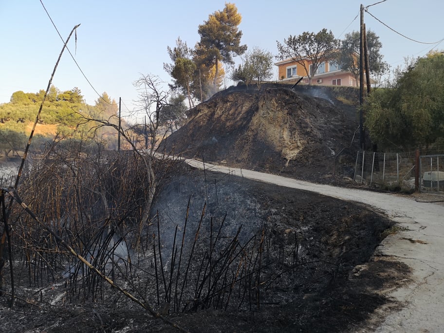 Ζάκυνθος: Στις αυλές των σπιτιών η πυρκαγιά στο Αργάσι