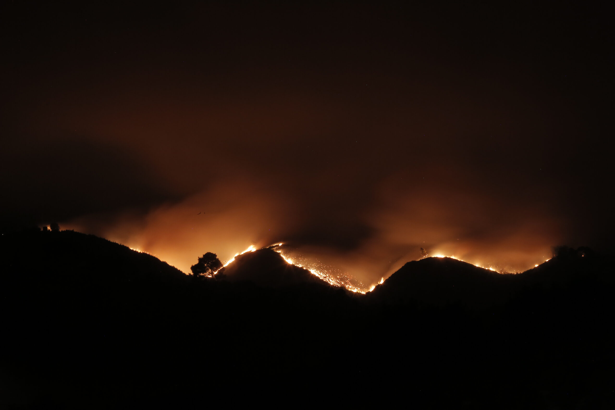 Χαλκιδική: Φωτιά σε δασική έκταση στο Άγιο Όρος