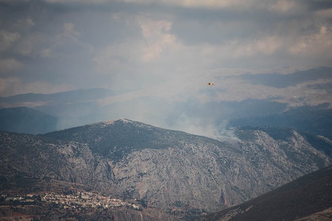 Φωτιά ΤΩΡΑ στους Δελφούς στην Άμφισσα: Ξέσπασε πυρκαγιά στο Κρόκι - Κινητοποίηση από τρεις περιοχές