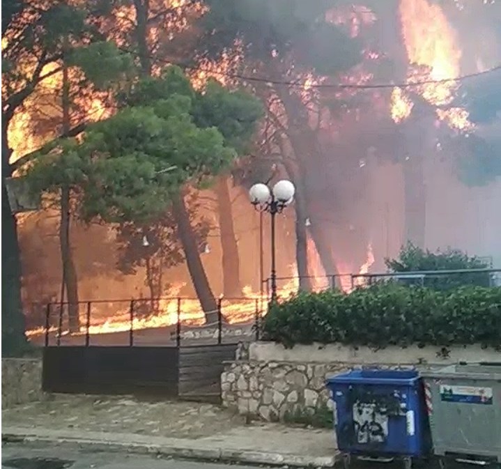 Η φωτιά εξαφανίζει το Κρυονέρι από τον Χάρτη - Μόνο στάκτες από την Πλατεία Κρυονερίου την οδό Πολυτεχνείου έως την οδό Μικράς Ασίας (Βίντεο LIVE)