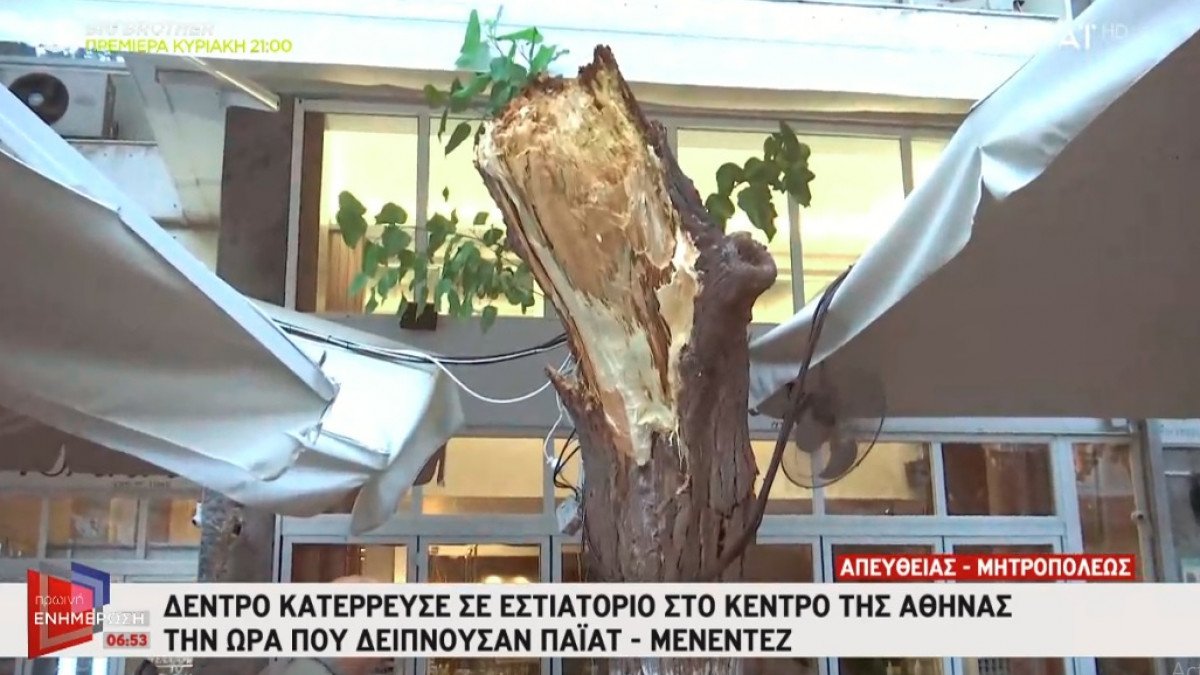 Κατέρρευσε δέντρο στο εστιατόριο που δειπνούσαν ο Πάιατ με τον Μενέντεζ
