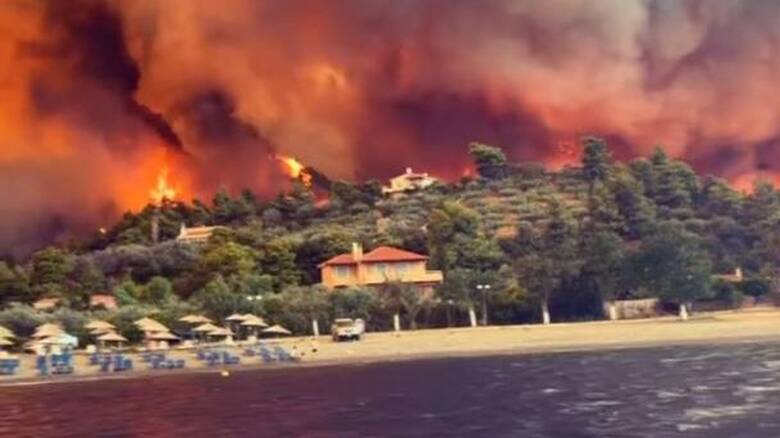 Εύβοια: Στάχτη τo ένα τρίτο των δασών της από την πρόσφατη πυρκαγιά