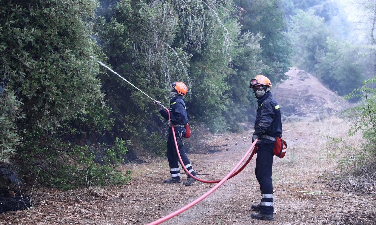 Πυρκαγιά σε δασική έκταση στην Ξάνθη