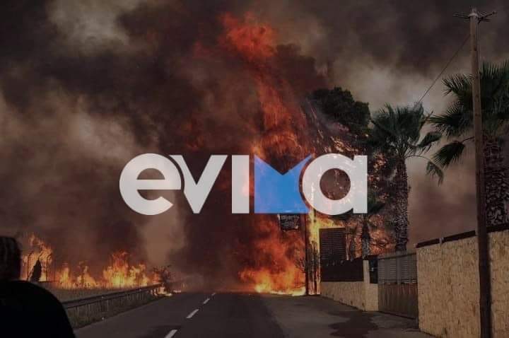 Εύβοια – Δήμαρχος Μαντουδίου: «Καιγόμαστε! Αν δεν ανακοπεί η φωτιά, θα φτάσει στη Χαλκίδα» - Στο Βασιλικό μπήκαν οι φλόγες