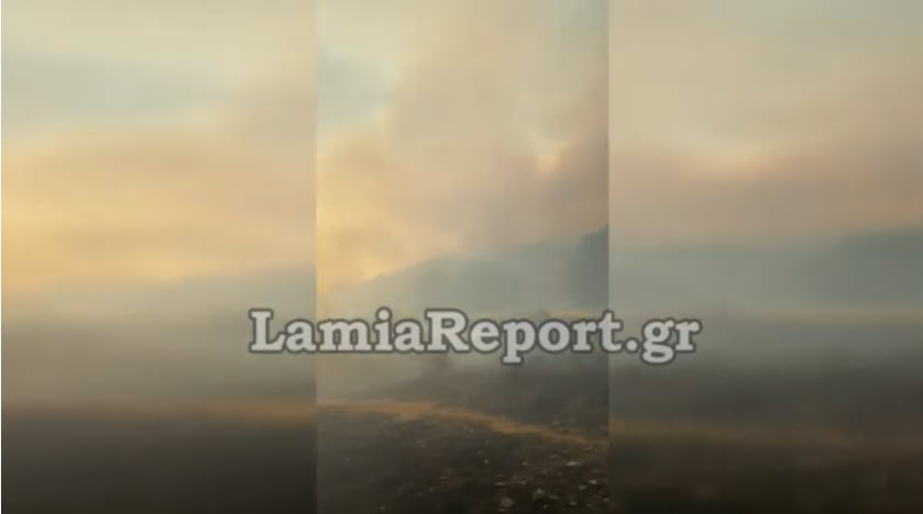 Φθιώτιδα: Μάχη με τα μέτωπα της φωτιάς που προσεγγίζουν το χωριό Λογγίτσι