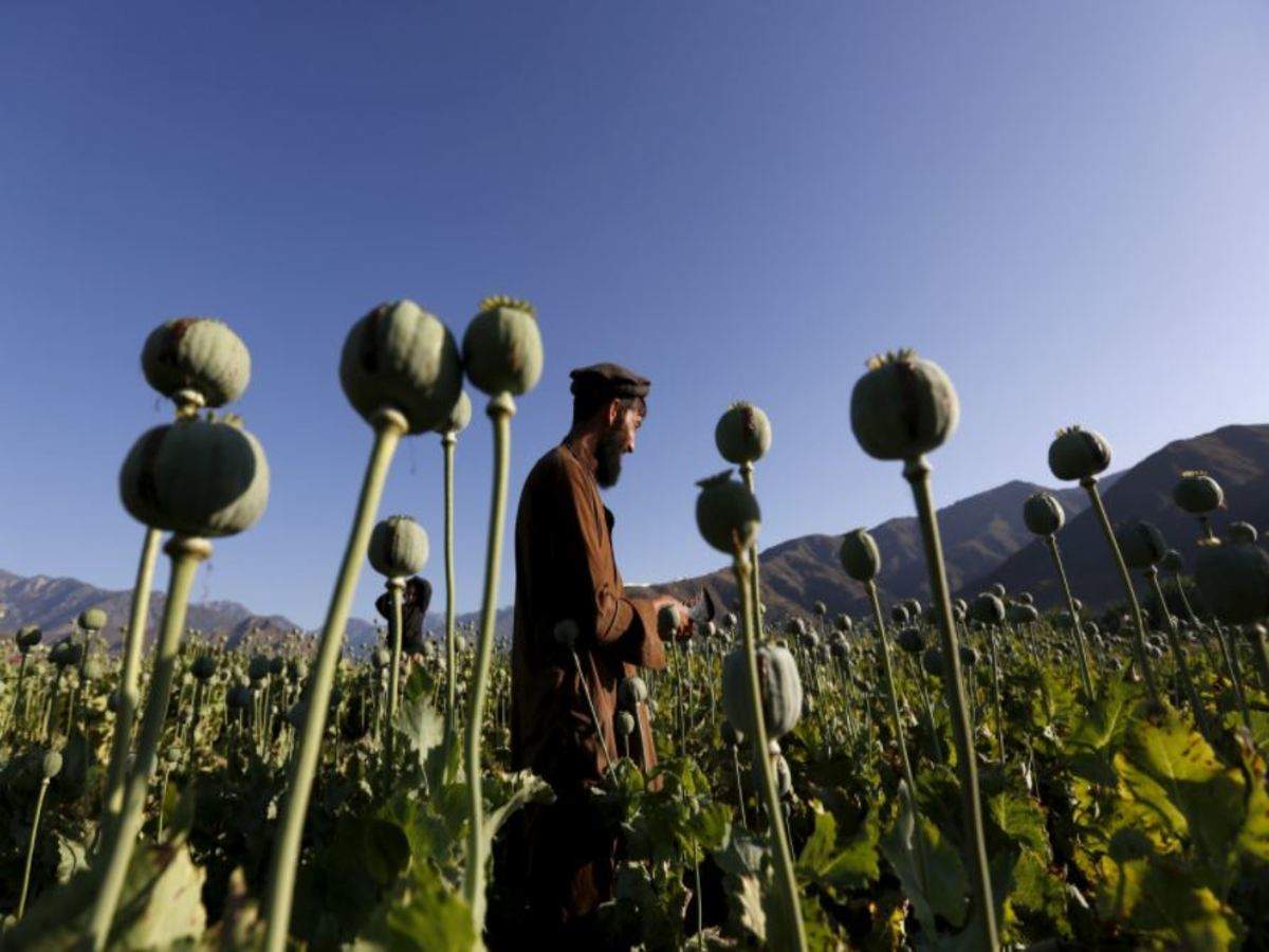 Τρεις τόνοι ηρωίνης, με προέλευση το Αφγανιστάν κατασχέθηκαν στην Ινδία