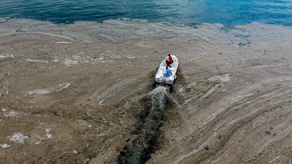«Νεκρή» κατά τους επιστήμονες η Θάλασσα του Μαρμαρά. Κίνδυνος για το Αιγαίο