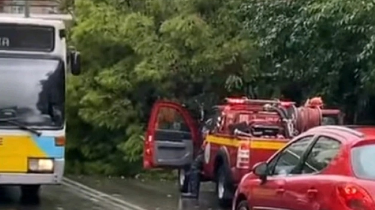 Κακοκαιρία «Μπάλλος»: Έπεσε δέντρο στη Σπύρου Μερκούρη - Ακινητοποιήθηκαν αυτοκίνητα (βιντεο)