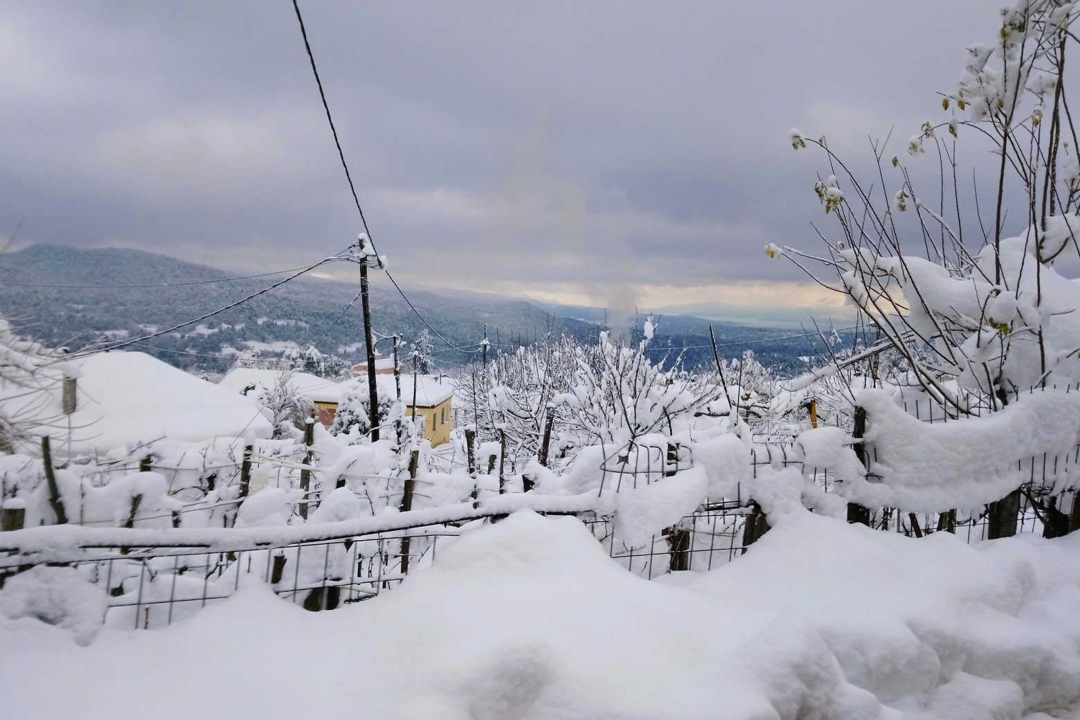 Κακοκαιρία «Ελπίδα»: Χιονοπτώσεις στη Βόρεια Ελλάδα - «Ανάχωμα» τα εκχιονιστικά, έτοιμο το 112