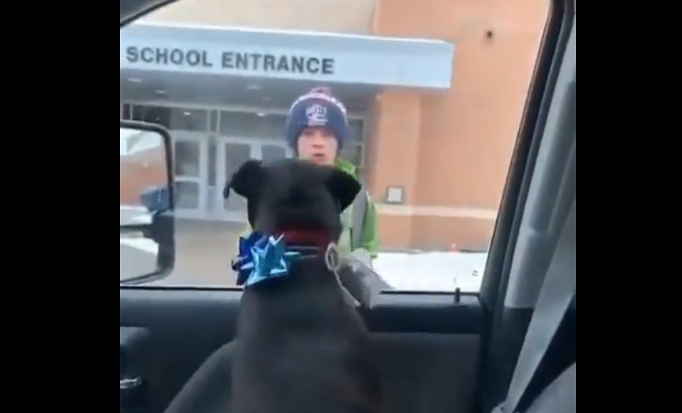 Μαθητής συναντά ξανά το σκυλάκι του που είχε χαθεί για εβδομάδες - Συγκινητικό βίντεο