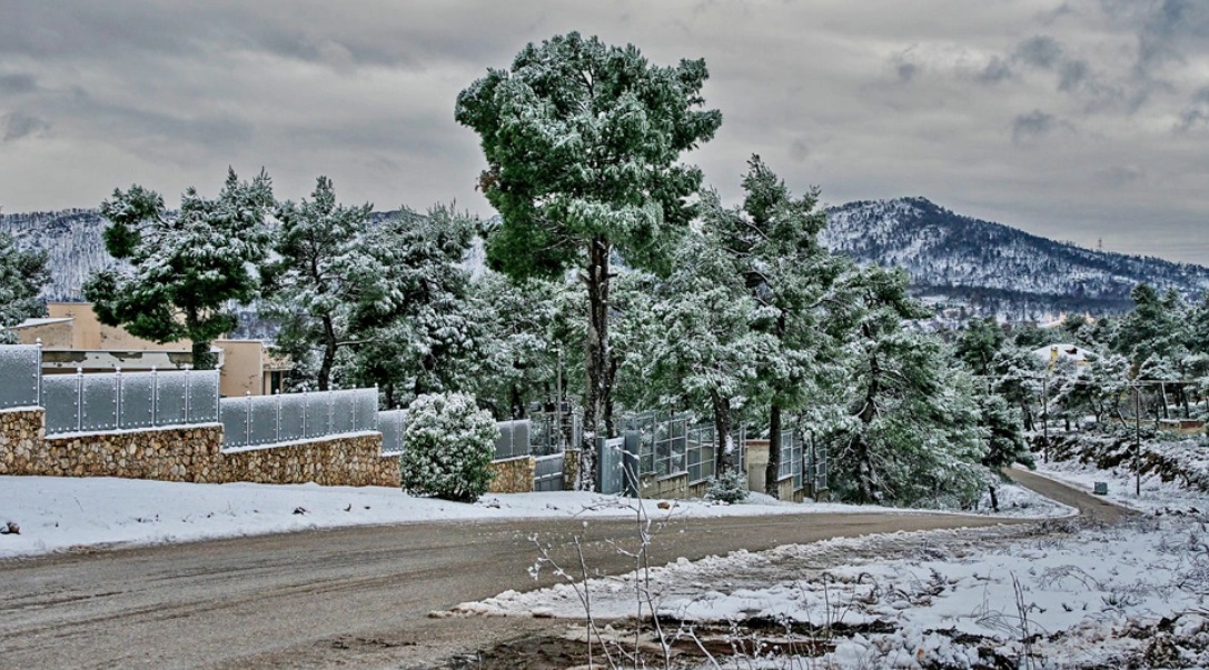 Καιρός: Χιόνια στα ορεινά της Ελλάδας - «Λευκές» εικόνες που μαγεύουν