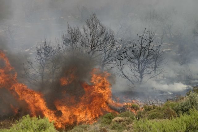 Φωτιά στην Παιανία – Συναγερμός στην Πυροσβεστική
