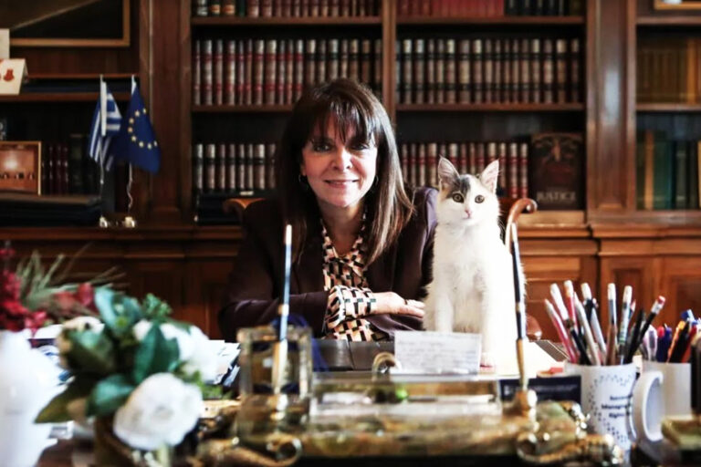 Κατερίνα Σακελλαροπούλου: Ανέβασε στο instagram τη γατούλα της με αφορμή την Παγκόσμια Ημέρα Αδέσποτων Ζώων