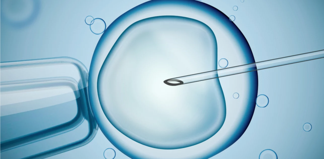 Εξωσωματική γονιμοποίηση: Αυξάνεται το όριο ηλικίας και δίνονται περισσότερες δυνατότητες