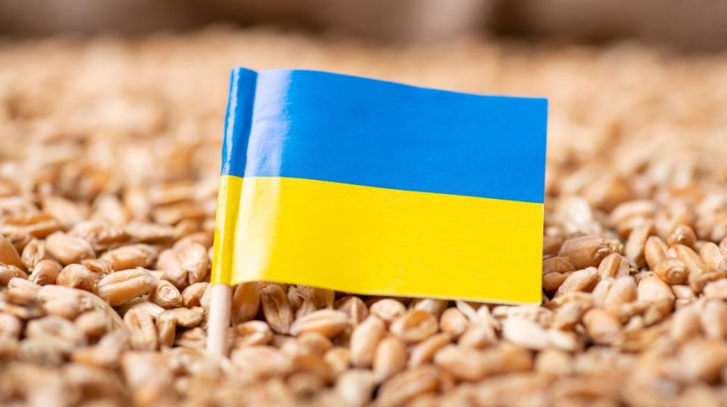 Η Ουκρανία αναμένεται να στείλει φορτίο σιτηρών στην Αιθιοπία