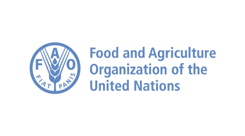 ΟΗΕ: Σχεδόν 25 εκατ. τόνοι σιτηρών είναι αποκλεισμένοι στην Ουκρανία