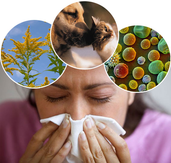 Γύρη και αφρικανική σκόνη το ιδανικό «κοκτέιλ» για αναπνευστικές αλλεργίες
