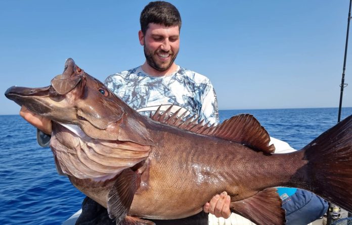 Κρήτη: Ψαράδες έπιασαν τεράστια βλαχοσφυρίδα