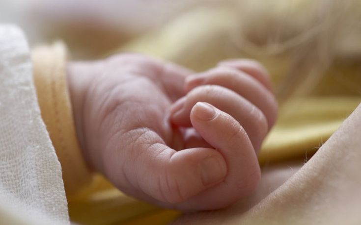 Τρίκαλα: Στο νοσοκομείο μωρό που έφαγε τοξικό φυτό εσωτερικό χώρου