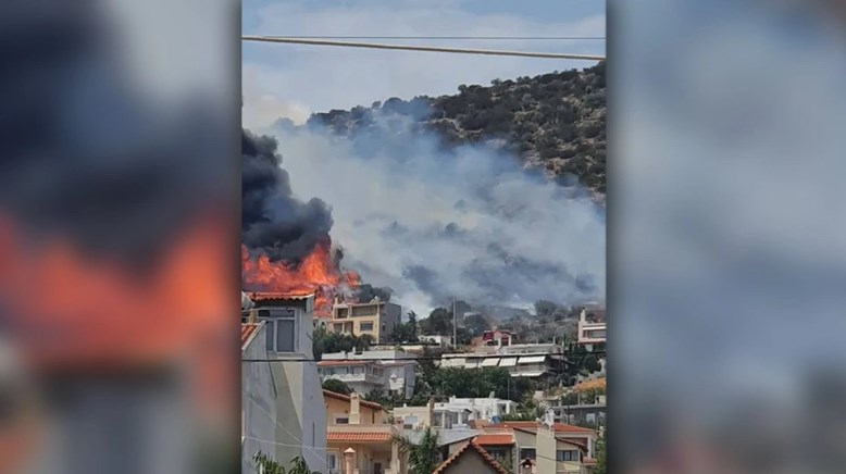 Φωτιά στην Αρτέμιδα: «Απειλήθηκαν σπίτια, αλλά η επέμβαση ήταν άμεση», λέει ο δήμαρχος της περιοχής