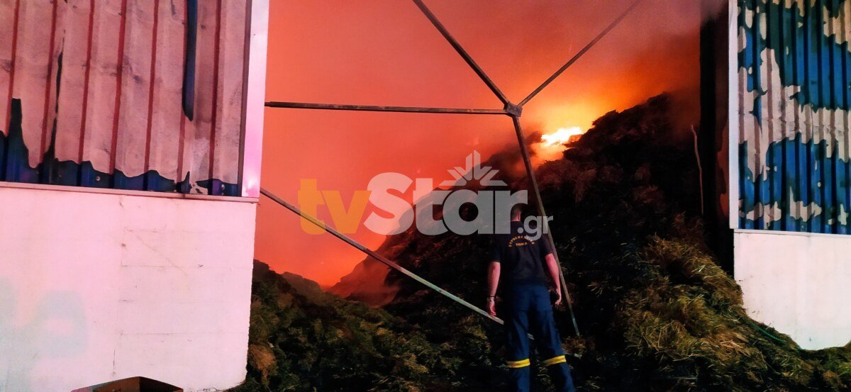 Βοιωτία: Μεγάλη φωτιά σε αποθήκη ζωοτροφών στην Αλίαρτο