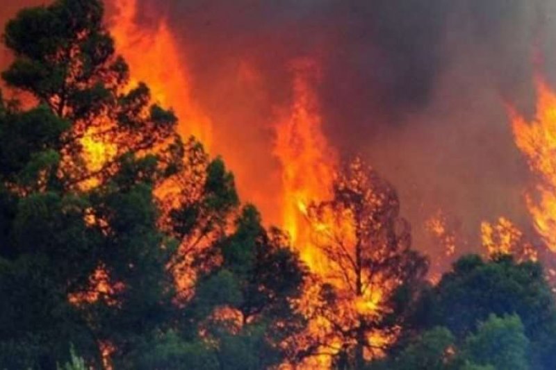Πυρκαγιές στο νότο της Αλβανίας- Απειλούνται ελληνικά μειονοτικά χωριά