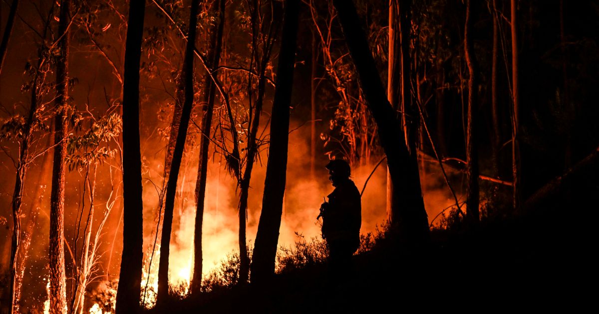Πορτογαλία: Aντιμέτωπη με  καύσωνα και δασικές πυρκαγιές