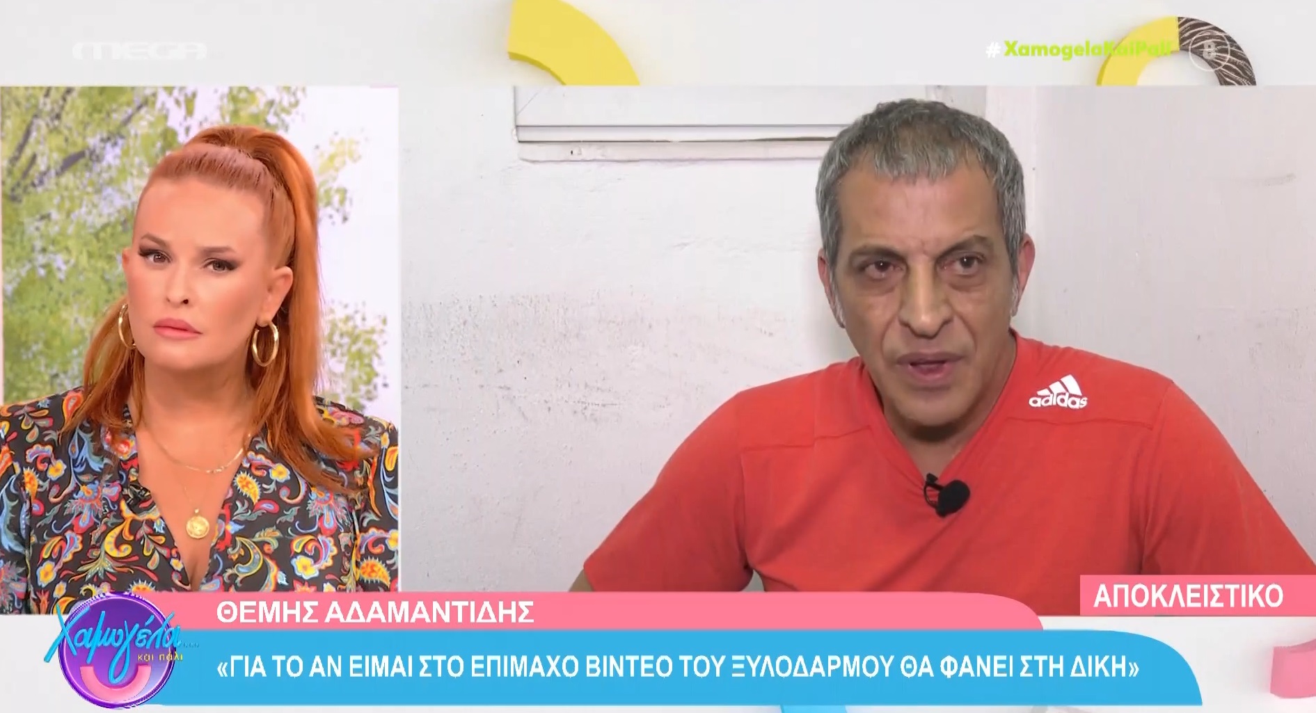 Θέμης Αδαμαντίδης: Αρνείται τον ξυλοδαρμό - Ζητά συγγνώμη από τους θαυμαστές του σε συνέντευξη που παραχώρησε (βίντεο)