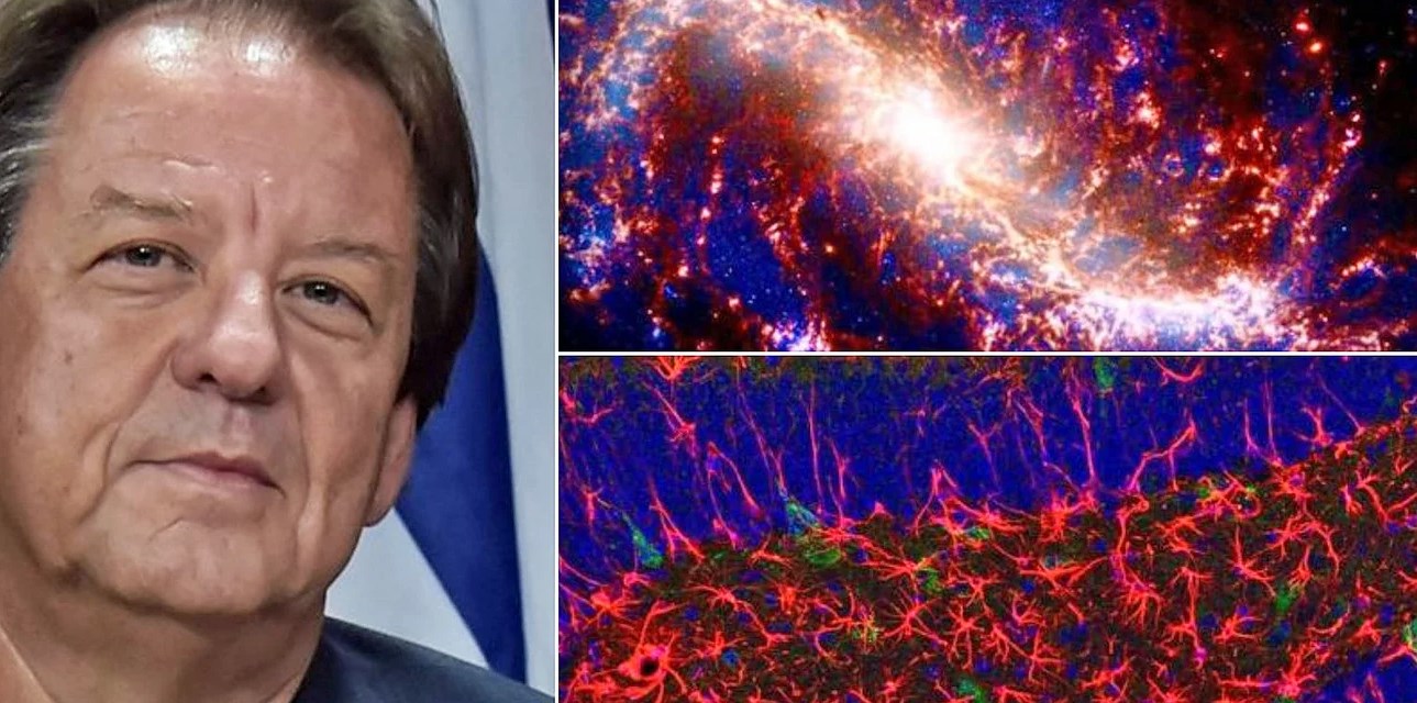 Δέος: Πόσο μοιάζει ο ανθρώπινος εγκέφαλος με το σύμπαν - Ο καθηγητής Γραβάνης συγκρίνει τις δύο εικόνες