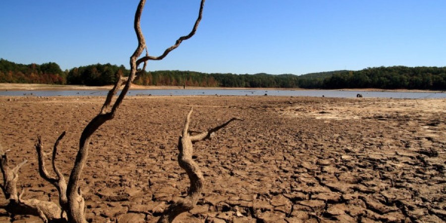 Ολλανδία: Σε κατάσταση λειψυδρίας η χώρα λόγω ξηρασίας