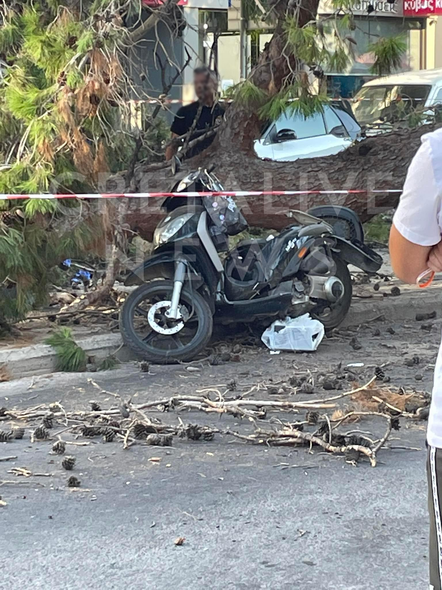 Ασύλληπτη τραγωδία στην Κρήτη: Νεκρός o οδηγός μηχανής που καταπλακώθηκε από δέντρο (φωτό)