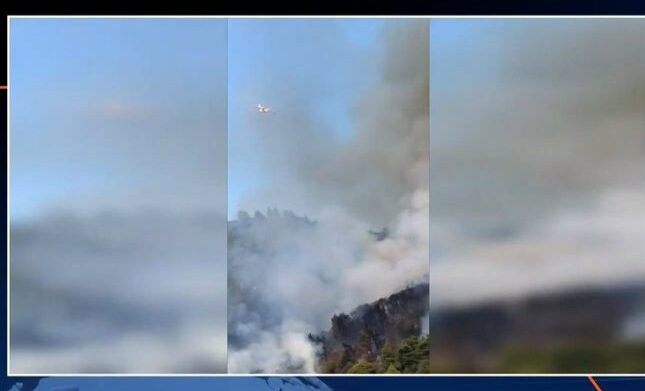Άγιον Όρος: Μαίνεται η πυρκαγιά σε αγροτοδασική έκταση (βίντεο)
