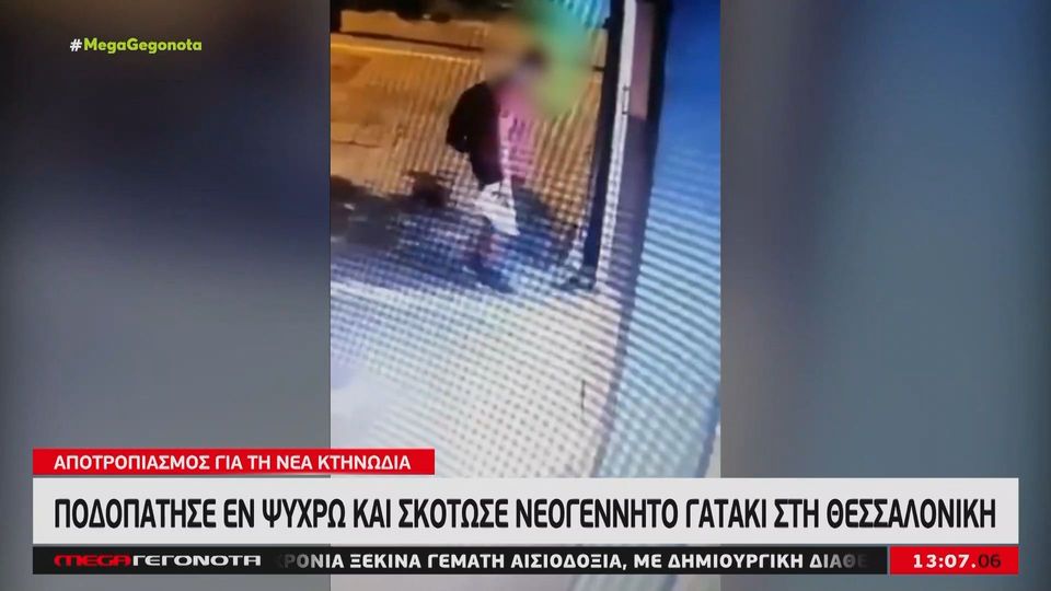 Θεσσαλονίκη: Σχηματίζεται δικογραφία κατά του άνδρα που πάτησε και σκότωσε το γατάκι