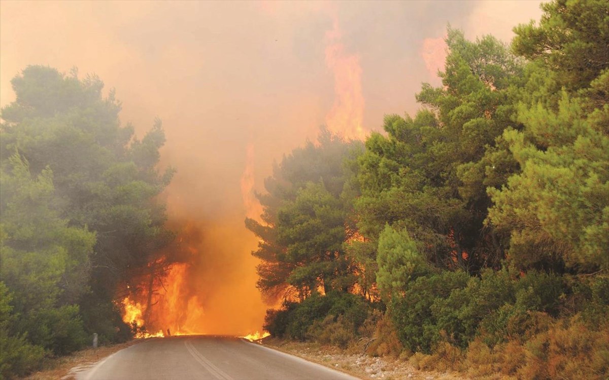 Φωτιά τώρα στη Θεσπρωτία - Καίει δασική έκταση