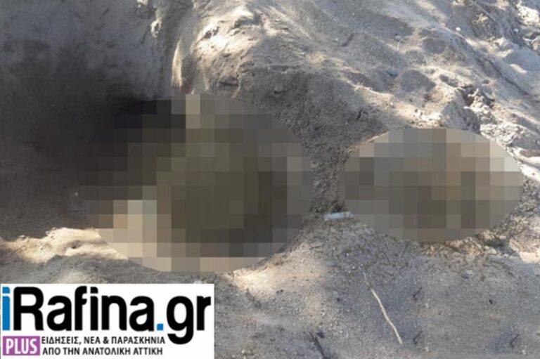 Φρίκη για παιδάκι στη Ραφήνα: Έπαιζε στην παραλία και «ξέθαψε» οστά και ανθρώπινο κρανίο