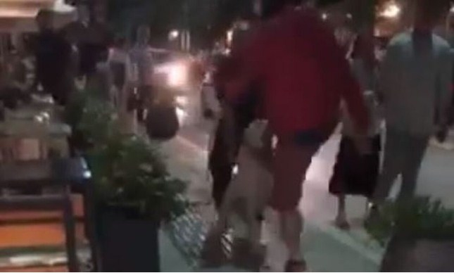 Ιωάννινα: Εξοργίζει νέα κακοποίηση ζώου - Κλώτσησε σκύλο στη μέση του δρόμου