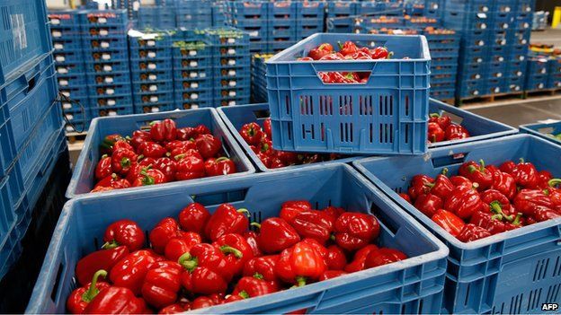 Ο Πούτιν παρατείνει το εμπάργκο στις εισαγωγές τροφίμων από τα κράτη-μέλη της ΕΕ και άλλες χώρες