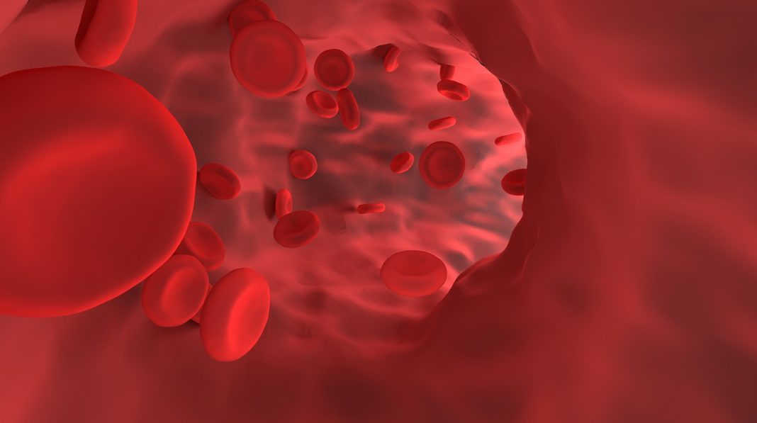 Επιστήμονες κατασκεύασαν «ζωντανά αιμοφόρα αγγεία»