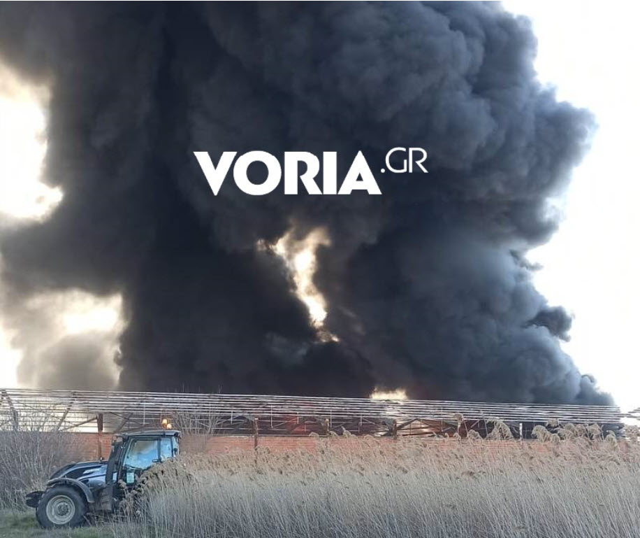 Θεσσαλονίκη: Πυρκαγιά σε εγκαταλελειμμένο εργοστάσιο στη Σίνδο