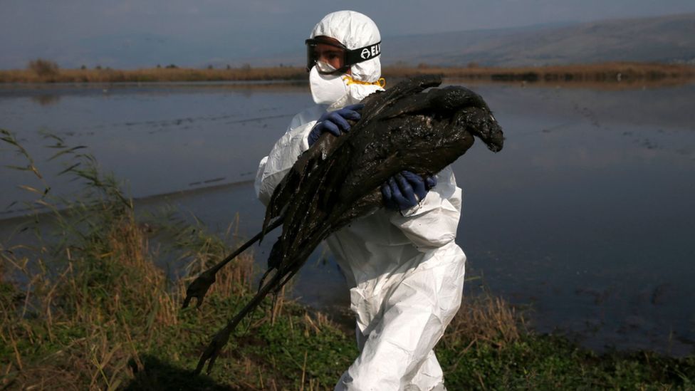 Γκίκας Μαγιορκίνης: Γρίπη των πτηνών «Μπορεί να προκαλέσει την επόμενη πανδημία»